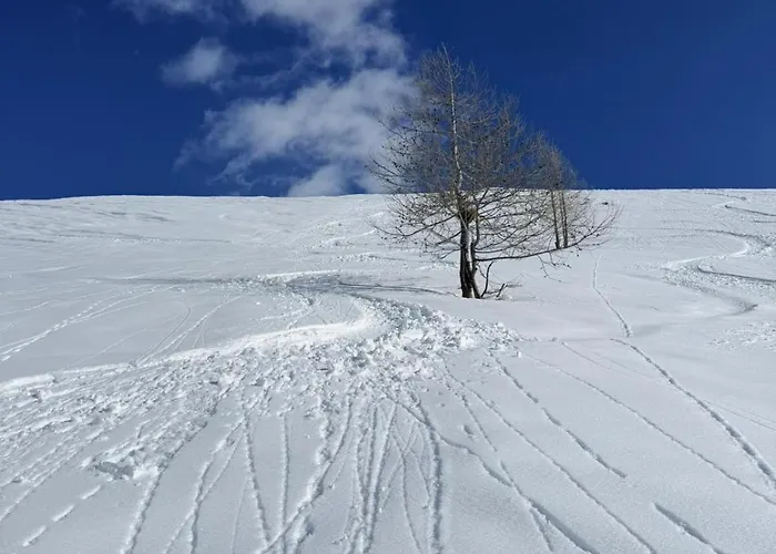 Giomein Sporting Red House Apartament